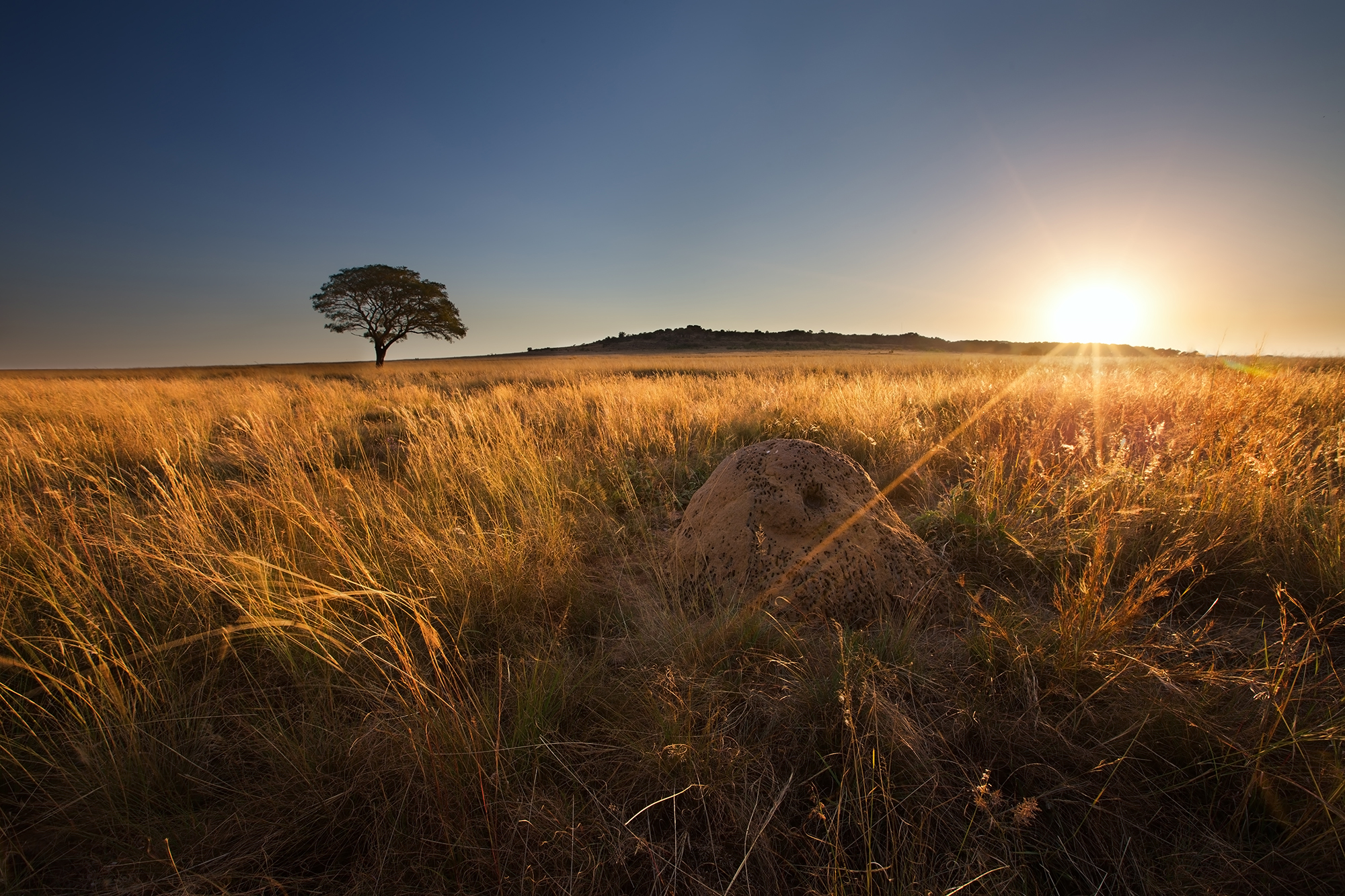 Report to Society_main image