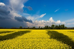 Ukraine